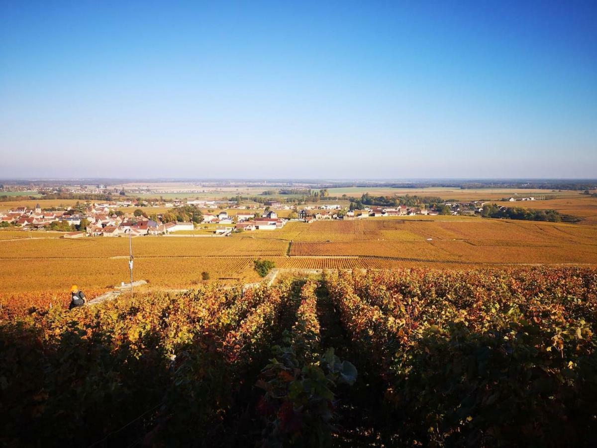 La Layotte Villa Vosne-Romanee Ngoại thất bức ảnh